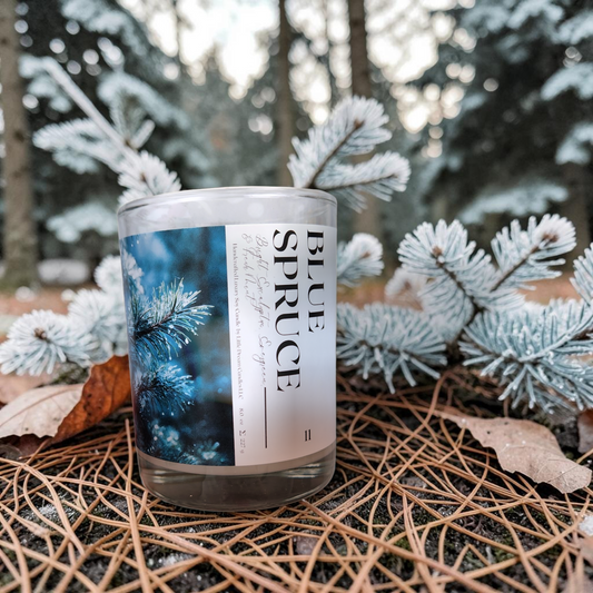 Blue Spruce Candle